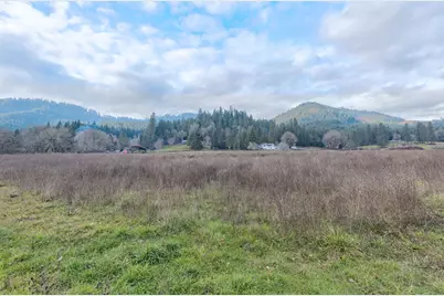 377 Fir Point Lane, Glendale, OR 97442 - Photo 47