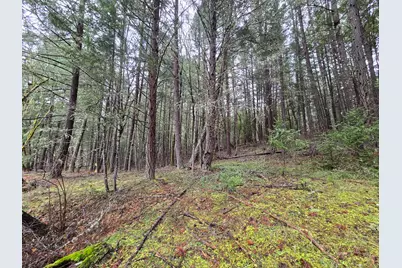 5000 Thompson Creek Road, Applegate, OR 97530 - Photo 29