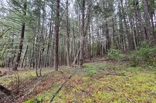 5000 Thompson Creek Rd, Applegate, OR 97530 - Photo 29