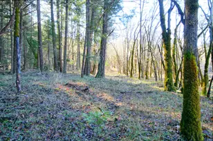 5000 Thompson Creek Rd, Applegate, OR 97530 - Photo 25