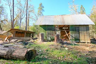 5000 Thompson Creek Rd, Applegate, OR 97530 - Photo 65