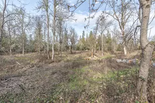 4420 Holland Loop Rd, Cave Junction, OR 97523 - Photo 49