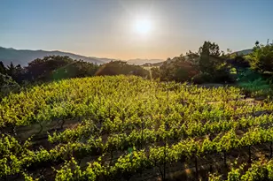 786 Pompadour Dr, Ashland, OR 97520 - Photo 35