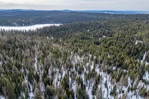 77667 Jack Pine Ln, Adams, OR 97810 - Photo 7