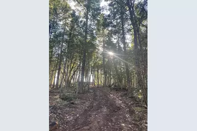 200 Hogue Drive, Selma, OR 97538 - Photo 7