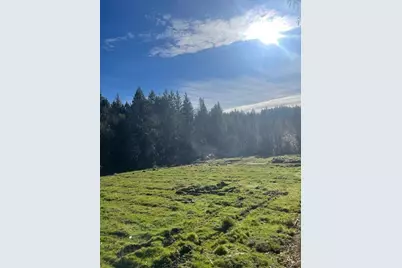 200 Hogue Drive, Selma, OR 97538 - Photo 11