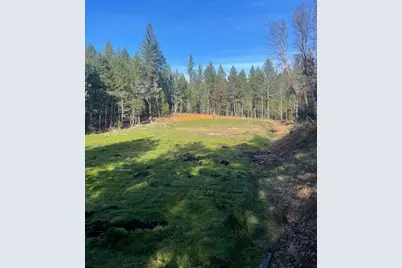 200 Hogue Drive, Selma, OR 97538 - Photo 5