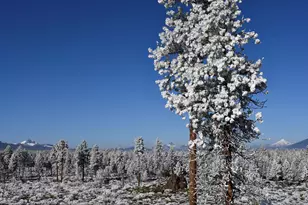 67500 Three Creeks Rd, Sisters, OR 97759 - Photo 31