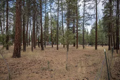 169 W Black Crater Avenue, Sisters, OR 97759 - Photo 5