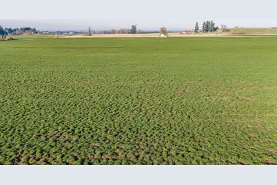 39986 Gisler Road, Scio, OR 97374 - Photo 35