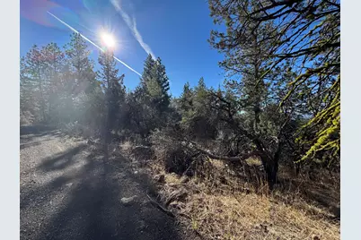 0 Chamois Circle #1, Bonanza, OR 97623 - Photo 3