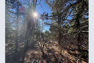 0 Chamois Circle #1, Bonanza, OR 97623 - Photo 5