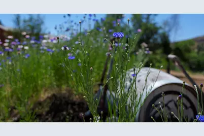 41473 Orchard View Road, Kimberly, OR 97848 - Photo 75