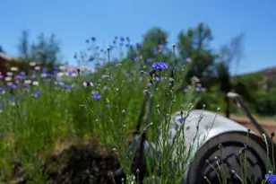 41473 Orch Vw Rd, Kimberly, OR 97848 - Photo 75