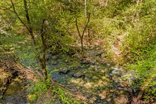 437 Little Gray Back Rd, Cave Junction, OR 97523 - Photo 21