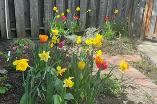 295 Tolman Creek Rd, Ashland, OR 97520 - Photo 25