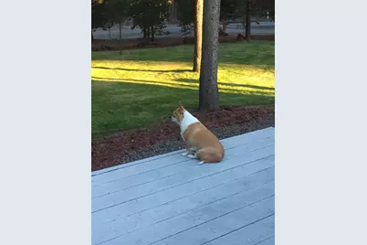 124316 Teatable Court, Crescent, OR 97733 - Photo 35