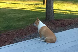 124316 Teatable Ct, Crescent, OR 97733 - Photo 35