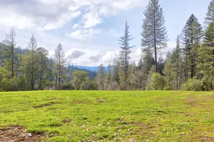 11260 Redwood Hwy, Wilderville, OR 97543 - Photo 9