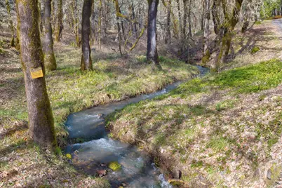 11260 Redwood Highway, Wilderville, OR 97543 - Photo 11