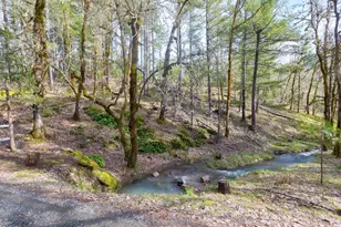 11260 Redwood Hwy, Wilderville, OR 97543 - Photo 13