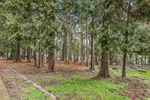 3610 Pleasant Creek Rd, Rogue River, OR 97537 - Photo 93