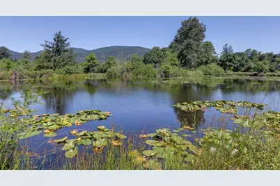 80546 Delight Valley School Road, Cottage Grove, OR 97424 - Photo 17