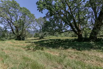 80546 Delight Valley School Road, Cottage Grove, OR 97424 - Photo 15