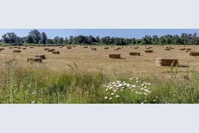 80546 Delight Valley School Road, Cottage Grove, OR 97424 - Photo 7