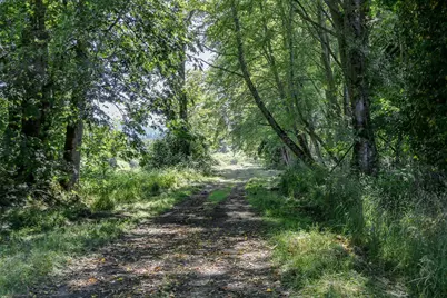 80546 Delight Valley School Road, Cottage Grove, OR 97424 - Photo 21