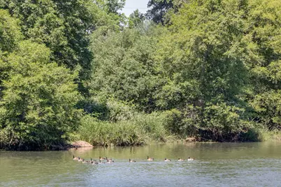 80546 Delight Valley School Road, Cottage Grove, OR 97424 - Photo 11