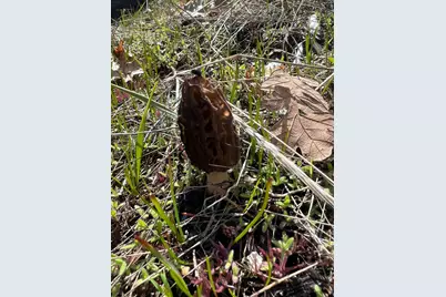 18781 E Evans Creek Road, Rogue River, OR 97537 - Photo 91