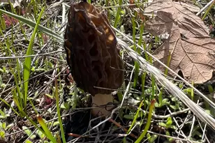 18781 E Evans Creek Rd, Rogue River, OR 97537 - Photo 91