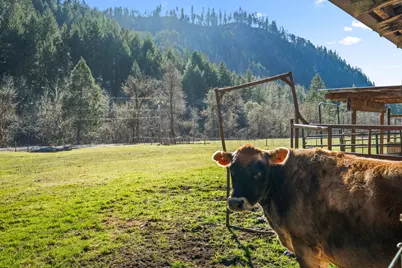 18781 E Evans Creek Road, Rogue River, OR 97537 - Photo 15