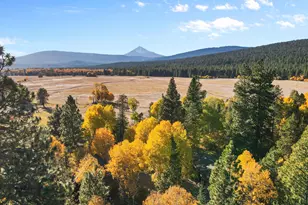 24850 West Side Rd, Klamath Falls, OR 97601 - Photo 53