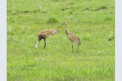 24850 Westside Road, Klamath Falls, OR 97601 - Photo 5