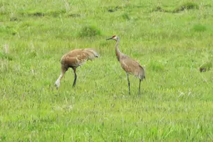 24850 West Side Rd, Klamath Falls, OR 97601 - Photo 5