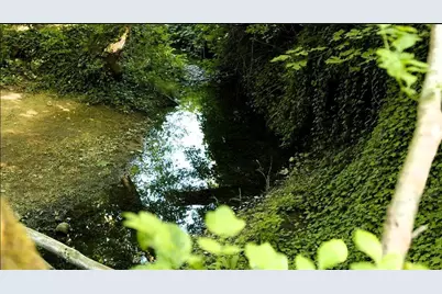 131 SE Forest Grove Lane, Grants Pass, OR 97527 - Photo 5