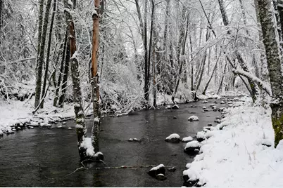 8843 Deer Creek Road, Selma, OR 97538 - Photo 61
