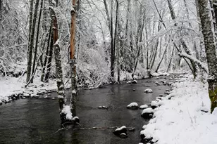 8843 Deer Creek Rd, Selma, OR 97538 - Photo 61