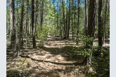 8843 Deer Creek Road, Selma, OR 97538 - Photo 49