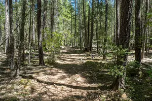 8843 Deer Creek Rd, Selma, OR 97538 - Photo 49