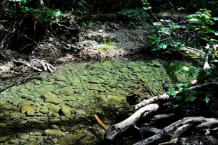 8843 Deer Creek Rd, Selma, OR 97538 - Photo 59