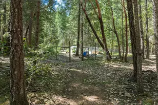 8843 Deer Creek Rd, Selma, OR 97538 - Photo 47