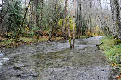 8843 Deer Creek Road, Selma, OR 97538 - Photo 53