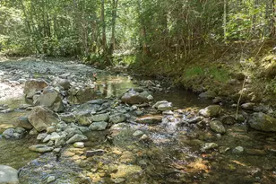 8843 Deer Creek Rd, Selma, OR 97538 - Photo 55