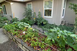 1116 Cashmere Dr, Grants Pass, OR 97527 - Photo 59