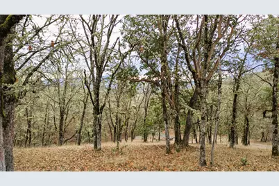 00 Azalea Drive Cut Off Drive #1100,609, Grants Pass, OR 97526 - Photo 3