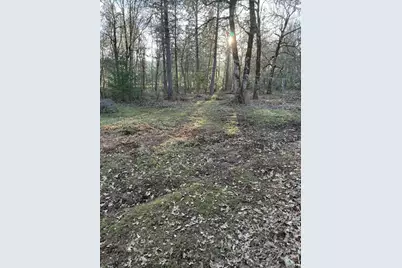 3759 Dick George Road, Cave Junction, OR 97523 - Photo 5