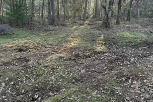 3759 Dick George Rd, Cave Junction, OR 97523 - Photo 5